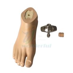 Prosthetic Foot Plastic Core Prosthetic Waterproof Foot