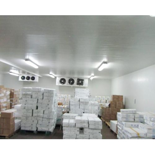 Milk and Cold Room Storage of Dairy Products Solution, Dairy Cold Room