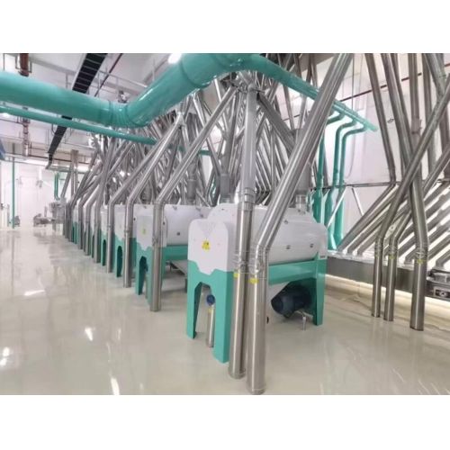 CHINA 500T Concrete Structure Wheat Flour Mill Plant