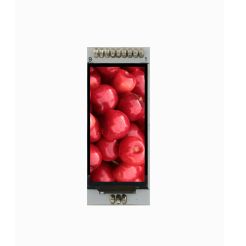 TFT LCD Display Module